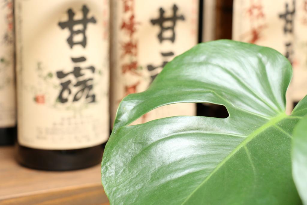 西之表市 美春莊日式旅馆酒店 外观 照片